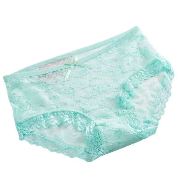 Lace Net Panty