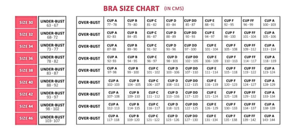 Xeffo Bra Size Chart