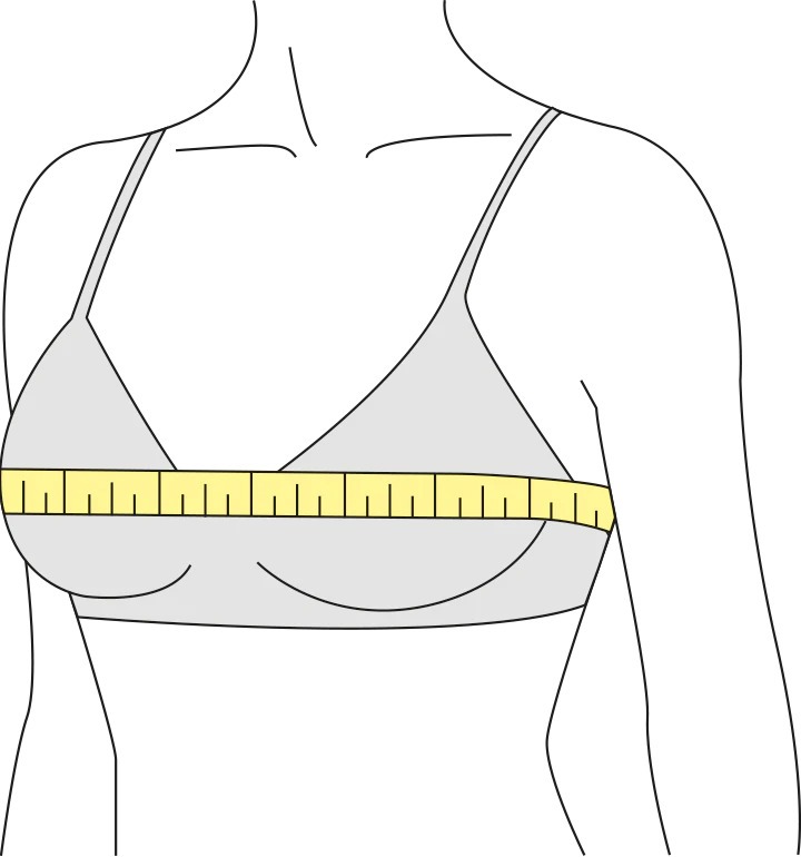 How to Measure Your Bra Size at Home  Measure bra size, Bra measurements,  Correct bra sizing